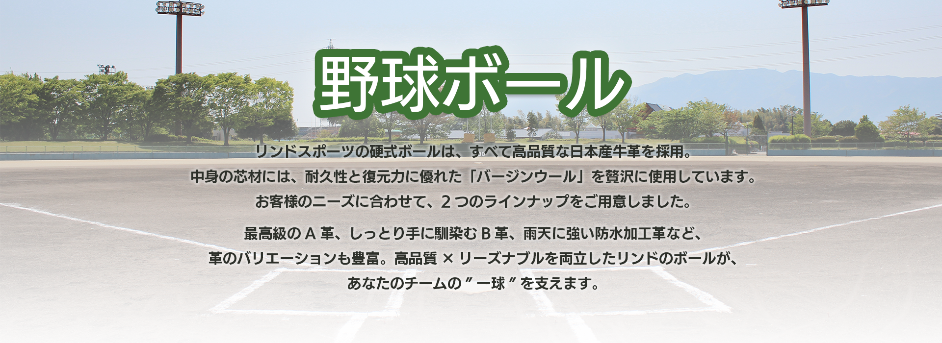 LINDSPORTSの野球ボール 硬式、軟式、トレーニング用